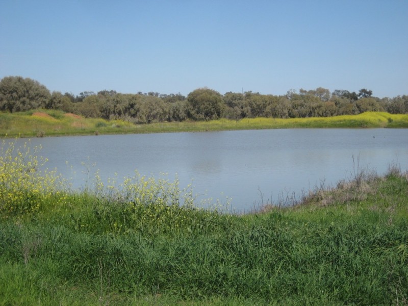 . “Waverley”, Tabbita NSW 2652