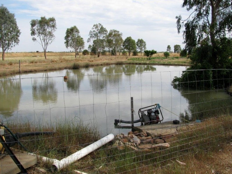 Farm 2675 and 258 Low Road, Yoogali NSW 2680