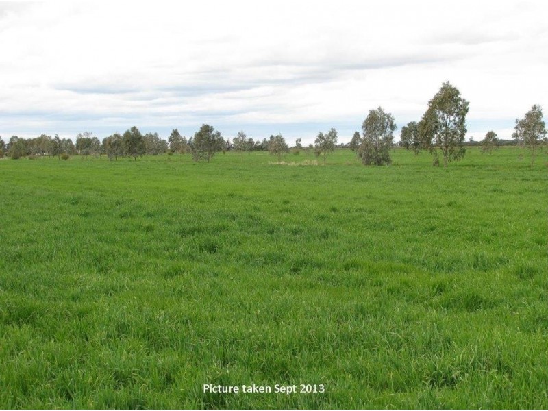 Farm 2675 and 258 Low Road, Yoogali NSW 2680