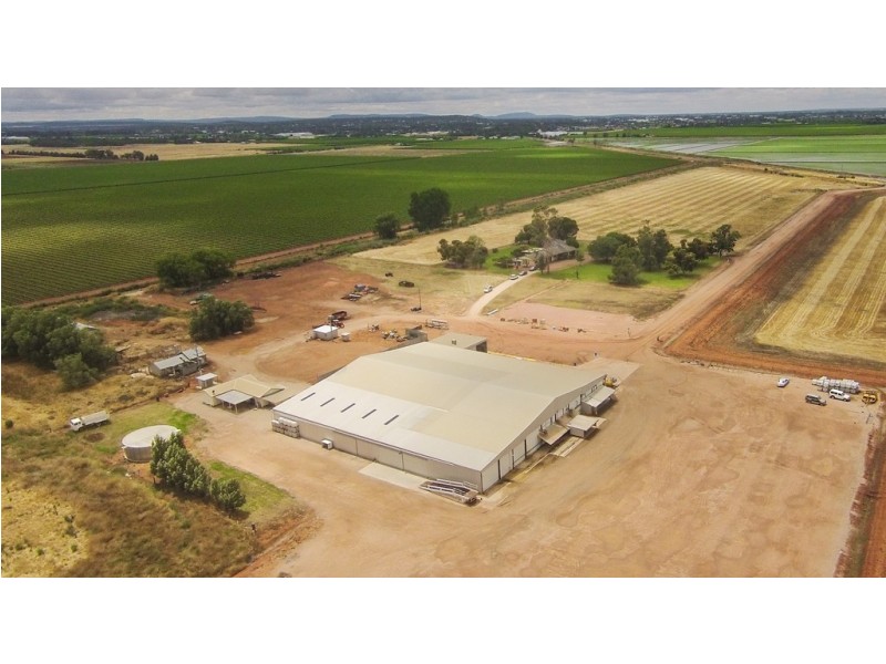 1316 Walla Avenue, Griffith NSW 2680