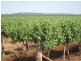 Farm 2617 Carver Road, Yenda NSW 2681