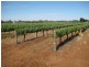 Farm 2617 Carver Road, Yenda NSW 2681