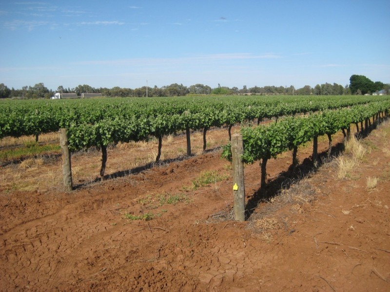 Farm 2617 Carver Road, Yenda NSW 2681