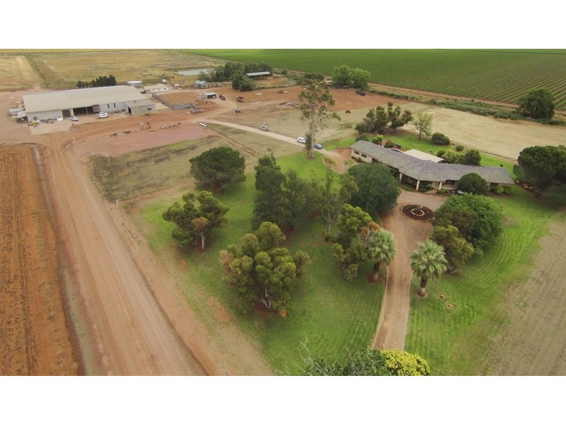 1316 Walla Avenue, Griffith NSW 2680