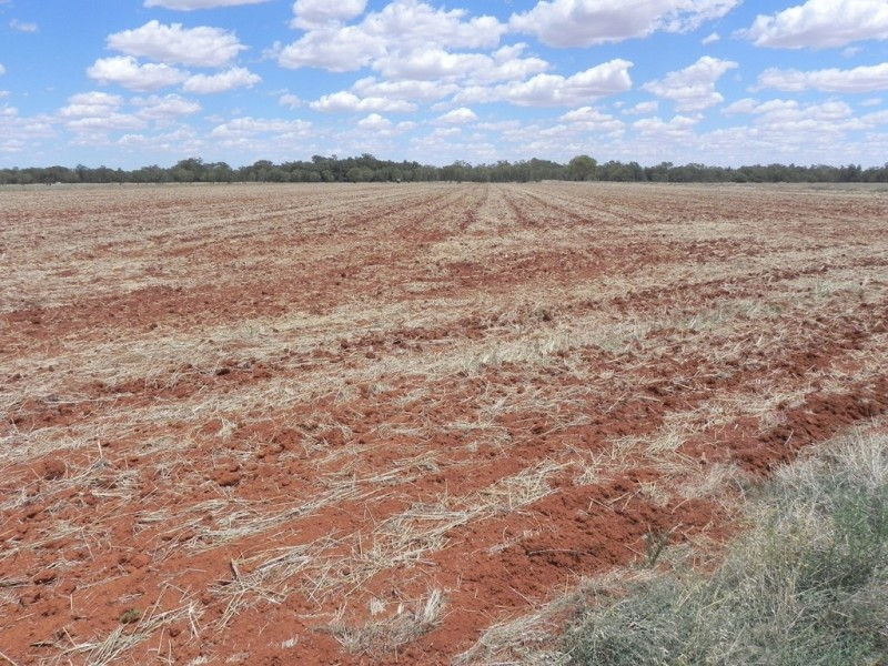 Hillston NSW 2675