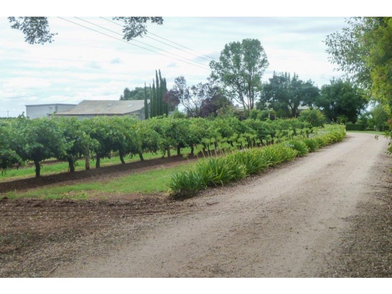 Farm 2181 Pavese Road, Yoogali NSW 2680