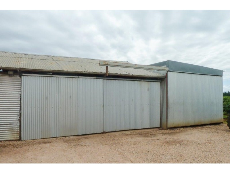 Farm 2181 Pavese Road, Yoogali NSW 2680