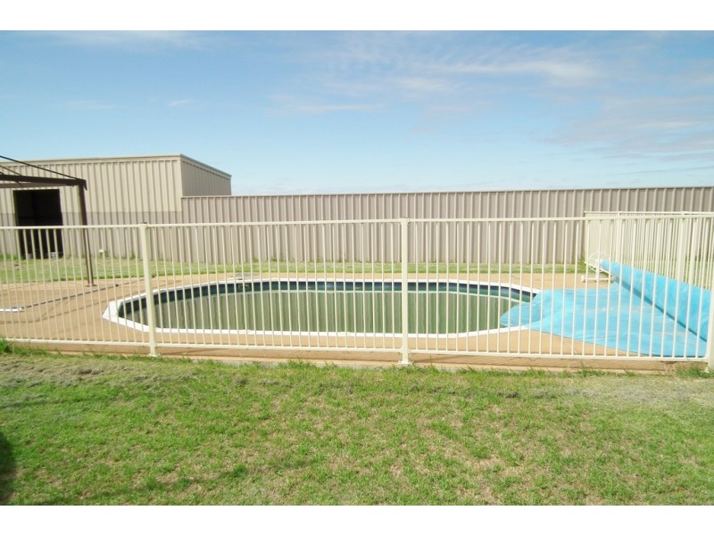 Farm 1717, Tharbogang NSW 2680