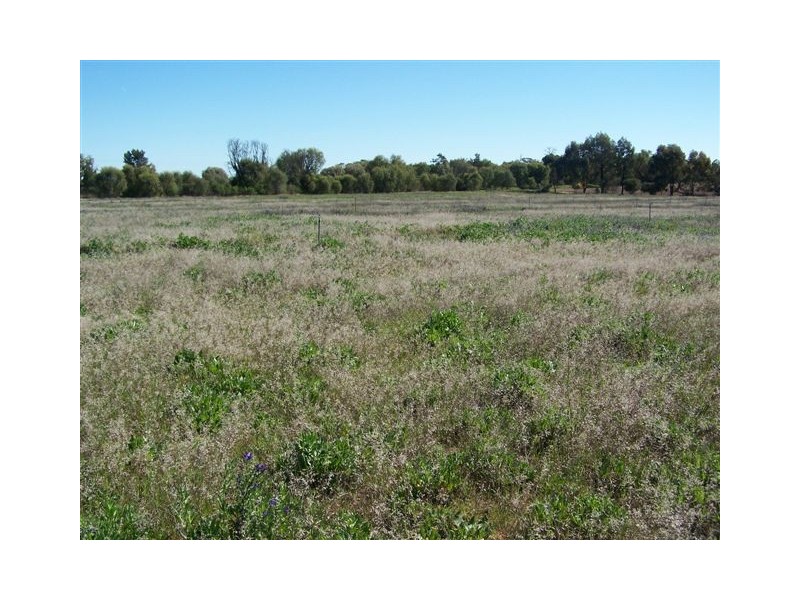 Coleambally NSW 2707