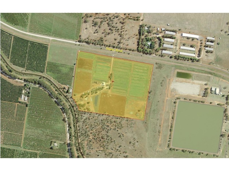 1295C Slopes Road, Griffith NSW 2680