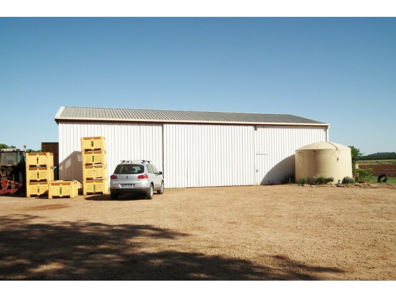1295C Slopes Road, Griffith NSW 2680