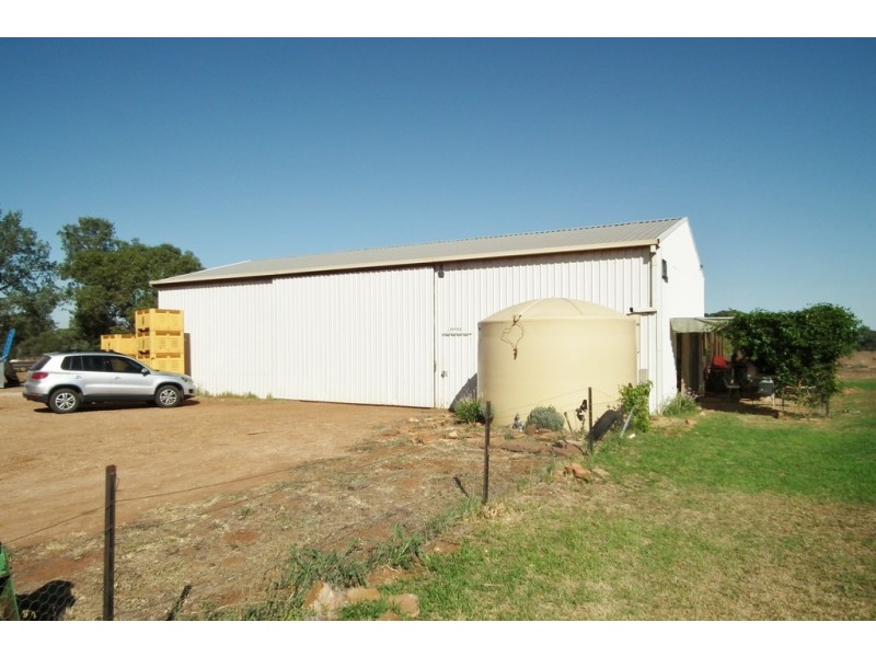 1295C Slopes Road, Griffith NSW 2680