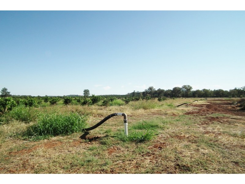 1295C Slopes Road, Griffith NSW 2680