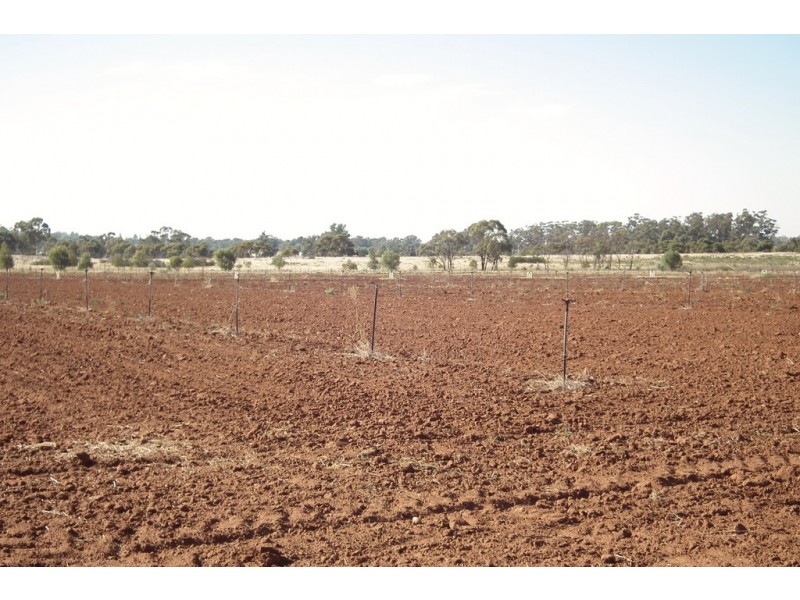 1295C Slopes Road, Griffith NSW 2680