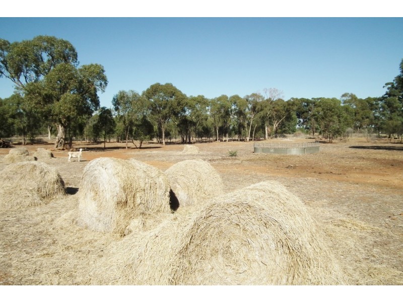 1295C Slopes Road, Griffith NSW 2680