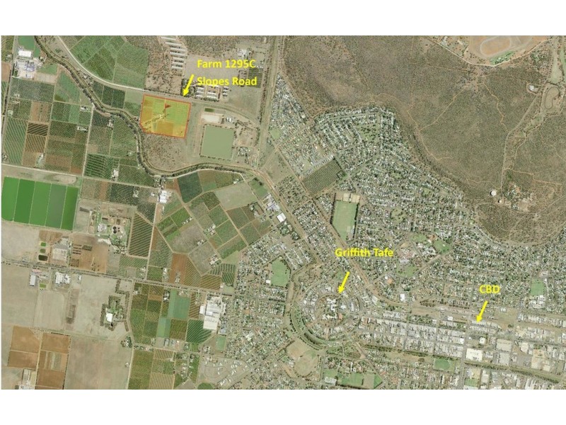1295C Slopes Road, Griffith NSW 2680