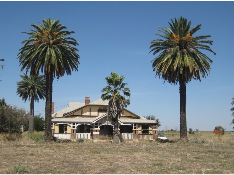 Farms 101B and 101C, Yoogali NSW 2680