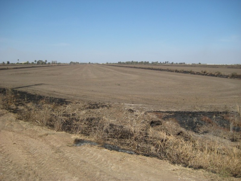 Farms 101B and 101C, Yoogali NSW 2680