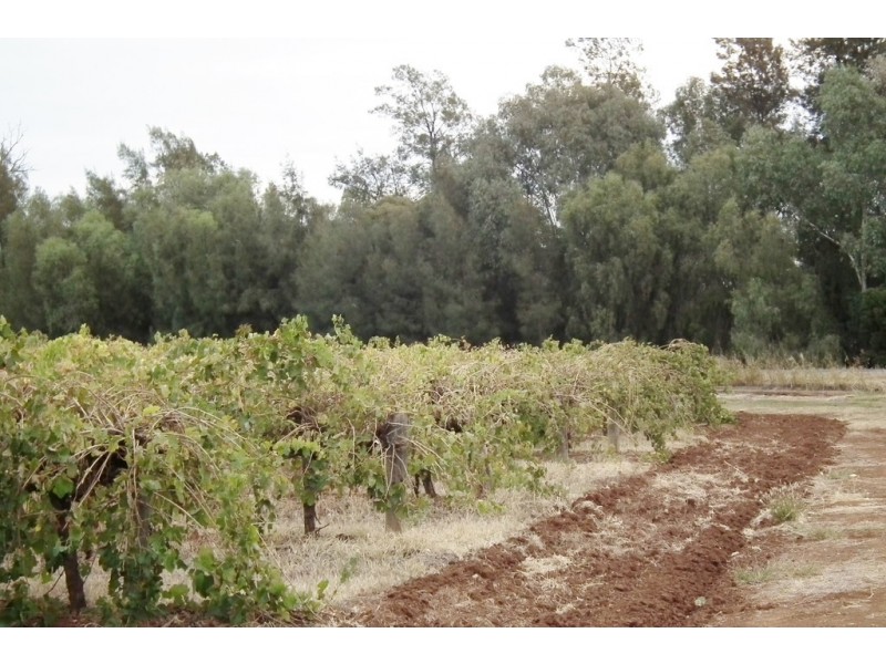 617 Macedone Road, Yoogali NSW 2680