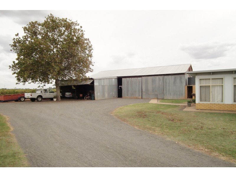 Farm 1716 White Road, Tharbogang NSW 2680