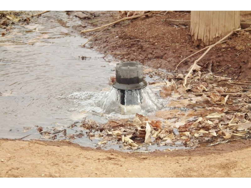 Farm 1716 White Road, Tharbogang NSW 2680