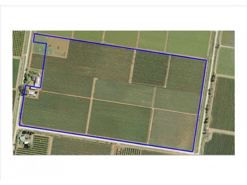 Farm 20 Whiting Road, Hanwood NSW 2680