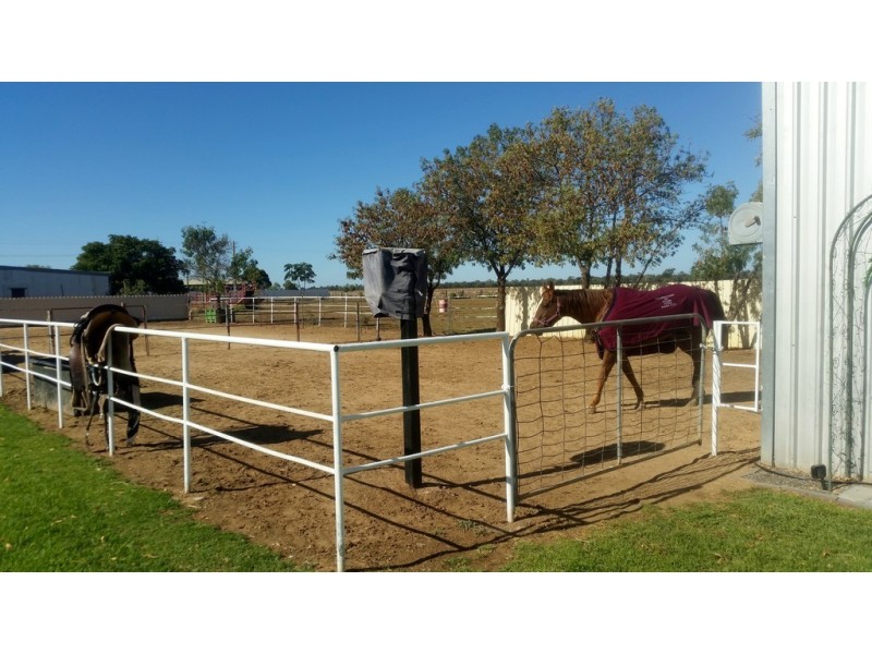 76 Conapaira Street, Whitton NSW 2705