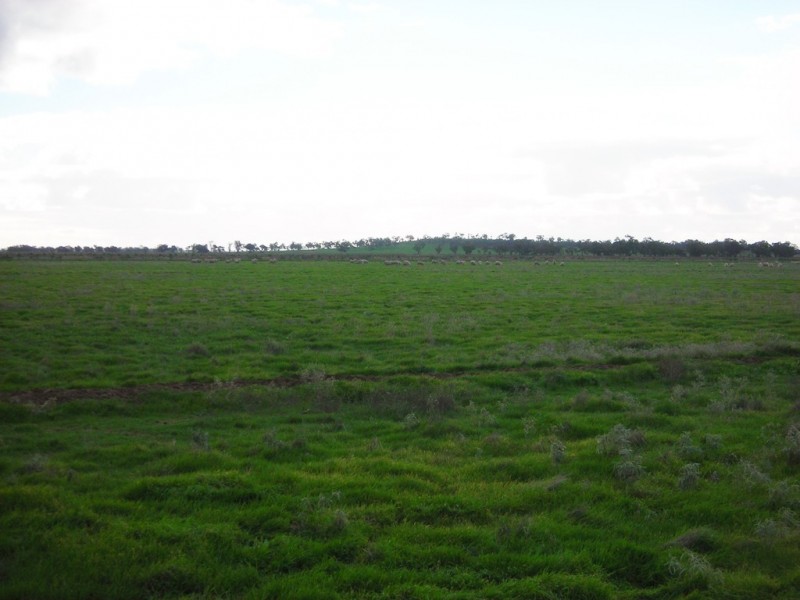 1307 Kooba Road, Whitton NSW 2705