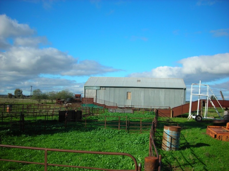 1307 Kooba Road, Whitton NSW 2705