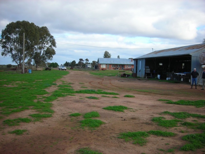 1307 Kooba Road, Whitton NSW 2705