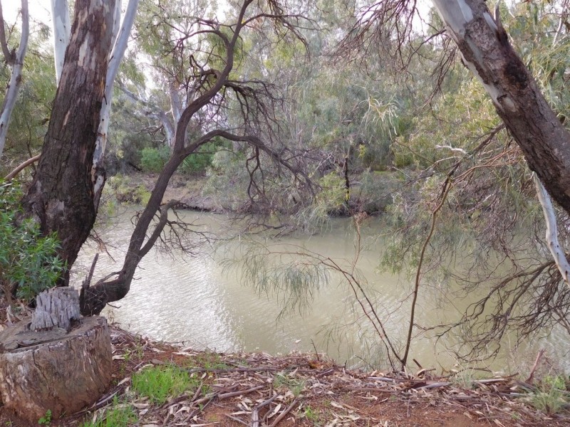 21-23 Lachlan Street, Hillston NSW 2675