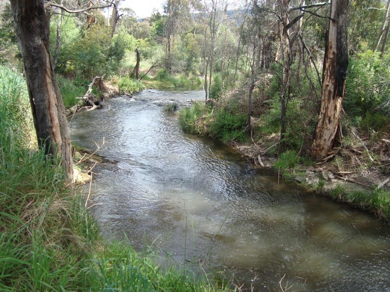 3 Creekside Drive, Flowerdale VIC 3717