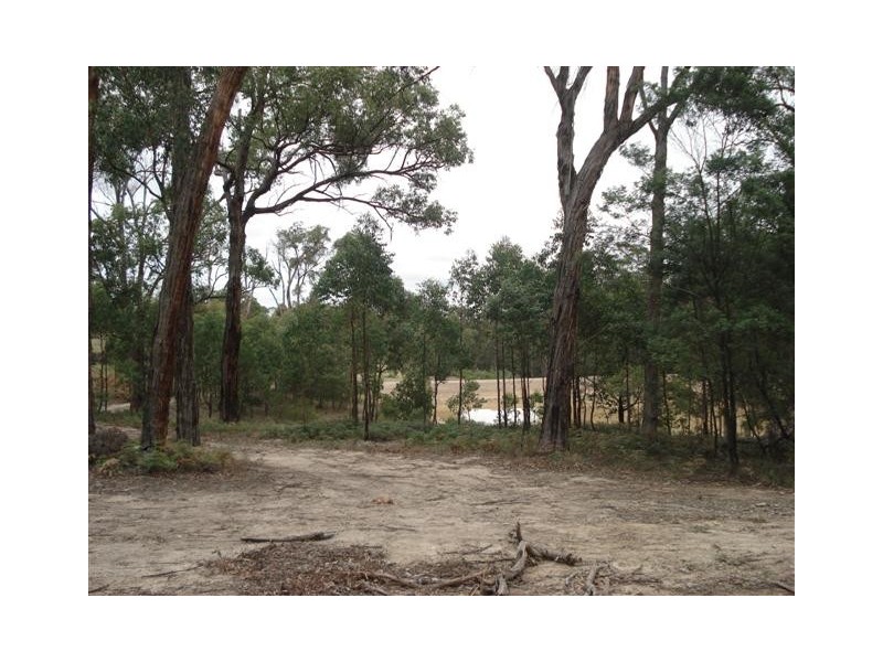 51 Matheis Road, Arthurs Creek VIC 3099