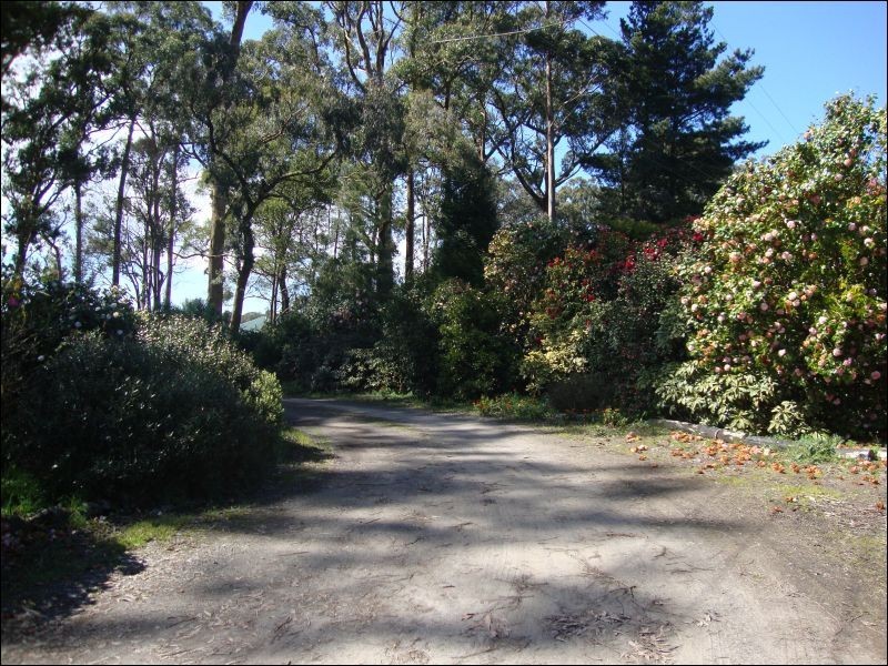 1205 Whittlesea/Kinglake Road, Kinglake West VIC 3757