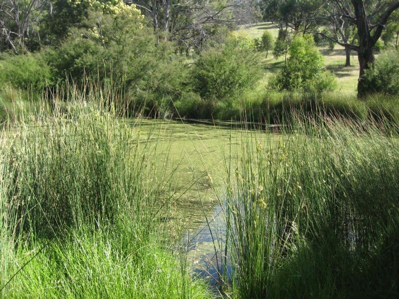 125 Munts Road, Whittlesea VIC 3757