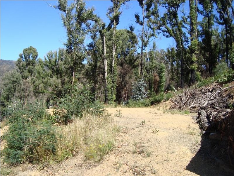 86 Silver Parrot Road,, Hazeldene VIC 3658