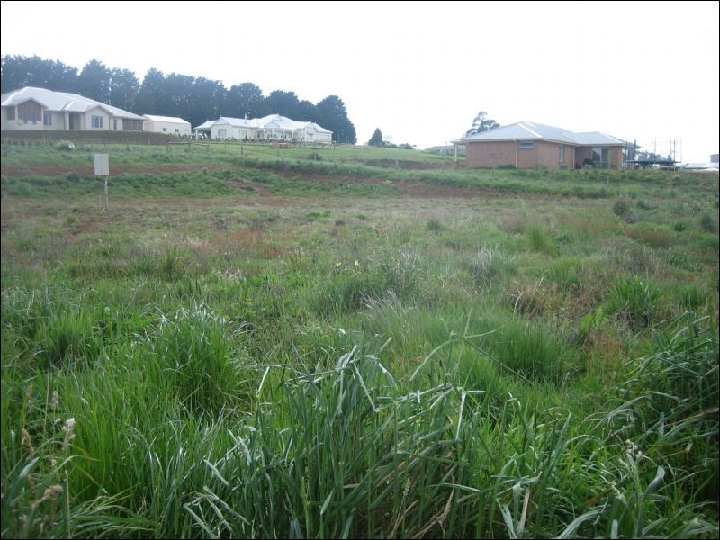 19 Elvin Drive, Kinglake VIC 3763