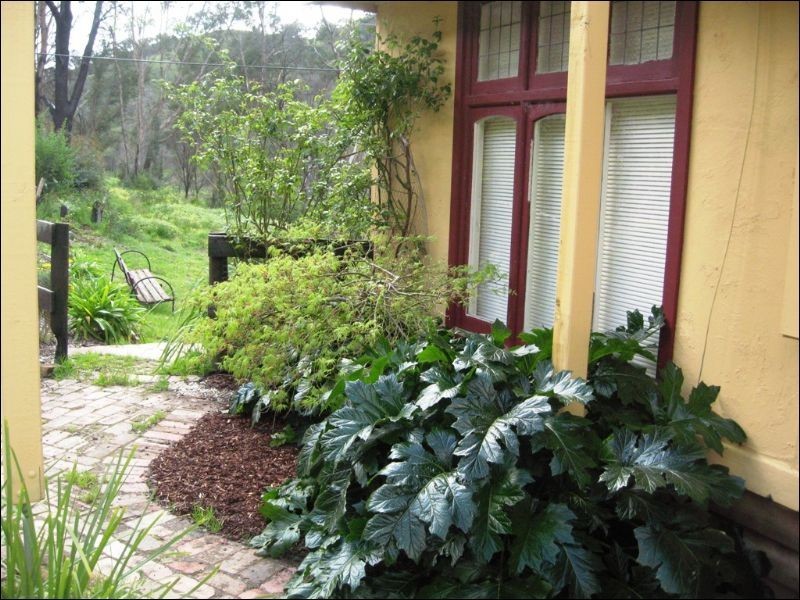 65 Long Gully Road, Hazeldene VIC 3658