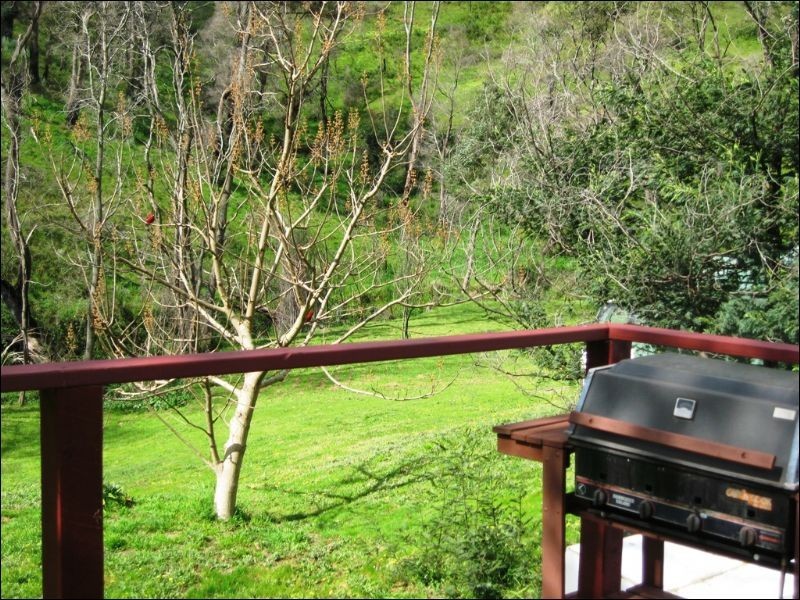 65 Long Gully Road, Hazeldene VIC 3658