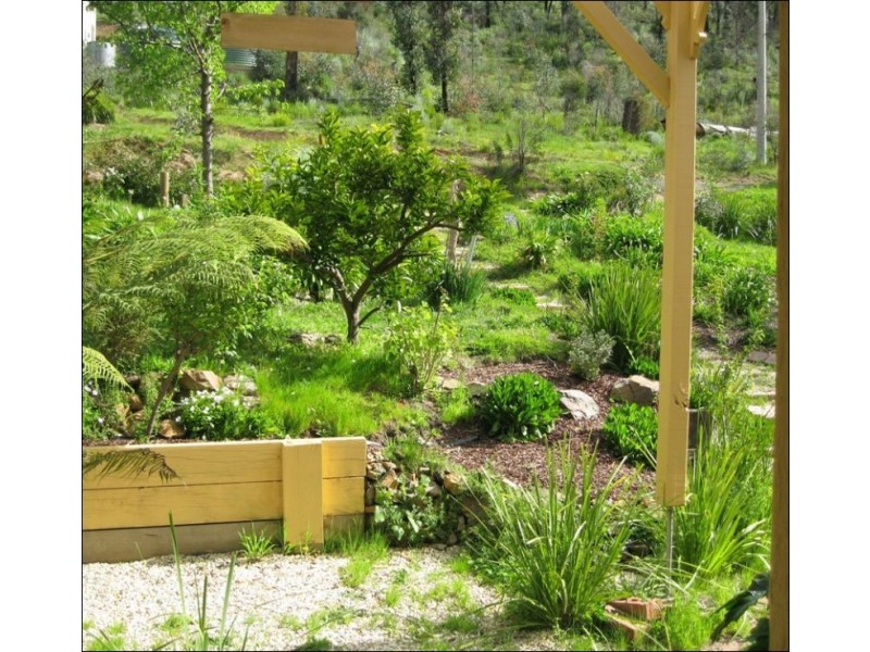 65 Long Gully Road, Hazeldene VIC 3658