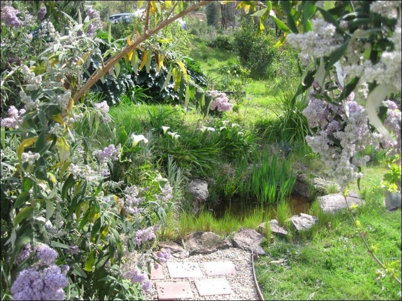 65 Long Gully Road, Hazeldene VIC 3658