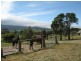 485 Wallan Road,, Whittlesea VIC 3757