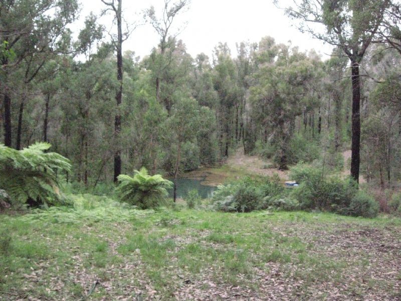 127 Wallaby Way, Pheasant Creek VIC 3757