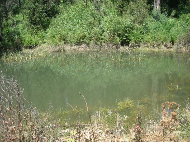 1932 Whittlesea/Yea Road, Kinglake West VIC 3757