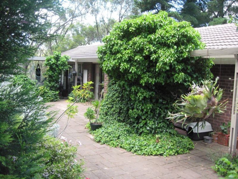 5 Sixteenth Avenue, Eden Park VIC 3757