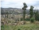 554 Yea Road, Humevale VIC 3757