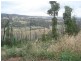 554 Yea Road, Humevale VIC 3757