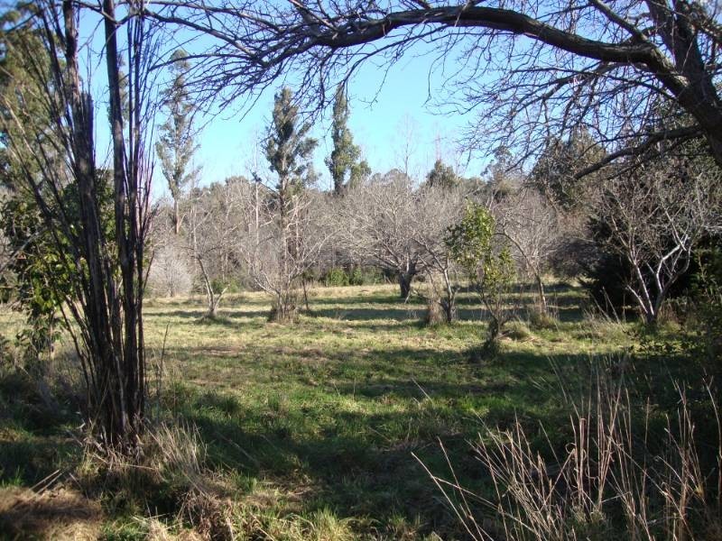 20 Bank Road, Kinglake VIC 3763