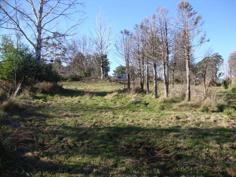 20 Bank Road, Kinglake VIC 3763