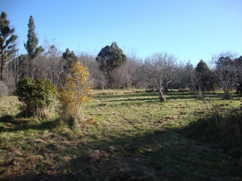 20 Bank Road, Kinglake VIC 3763